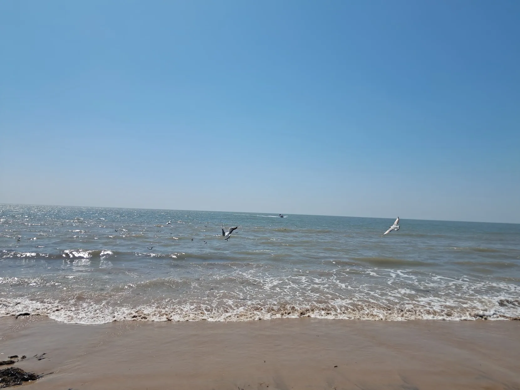 The beach